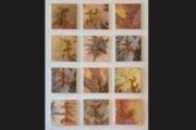 Missouri Arts Council featured artist